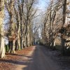 Marlfield 4